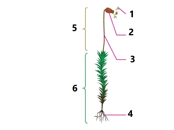 0602yzsj-50c6-593x446.png