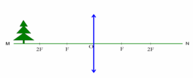 0602yzyi-c7cc-385x156.png