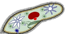 0602z0eo-feca-227x119.png