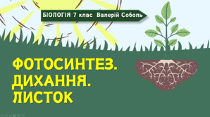 7 клас НУШ. Фотосинтез. Дихання. Листок