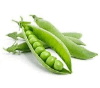 0602z1gc-20ec-143x126.png