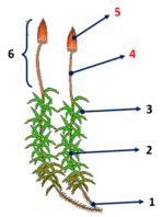 0602z3rn-379d-149x198.png