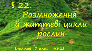 Презентація  «Розмноження й життєві цикли рослин»  7клас НУШ