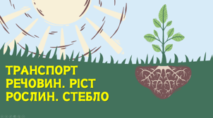 7 клас НУШ.  Транспорт речовин. Ріст рослин. Стебло