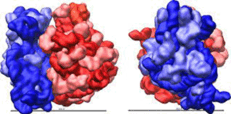 0602zauc-809a-392x195.png