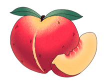 0602zbgk-cc93-211x164.png