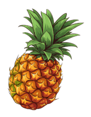 0602zbj2-a0af-181x233.png
