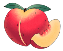 0602zc6c-7be5-211x169.png