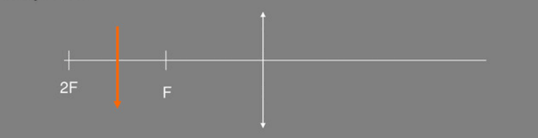 0602zdlj-4d03-764x196.png