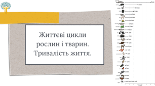 Життєві цикли рослин і тварин. Тривалість життя.