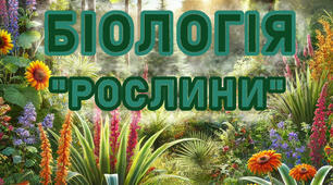 Діагностична робота за групами результатів. 7 клас.НУШ. З теми: «ОСОБЛИВОСТІ РОСЛИН. ЇХНЄ МІСЦЕ В ЕКОСИСТЕМАХ І ЗНАЧЕННЯ ДЛЯ ЛЮДСТВА». С. В. Тагліна, Л. С. Виниченко, І. Ю. Андерсон, 2024.