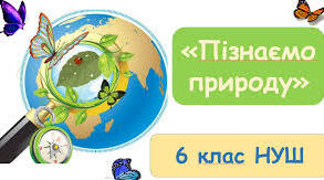 Семестрова  контрольна робота №1 6 клас