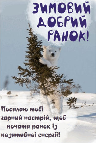 0602zwki-26ff-313x466.png