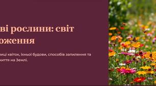 Презентація: "Квіткові. Квітка і суцвіття. Запилення"