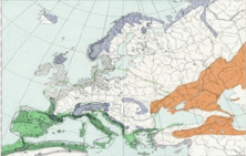 060300a2-d965-222x141.png