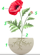 060300lj-85a5-132x180.png
