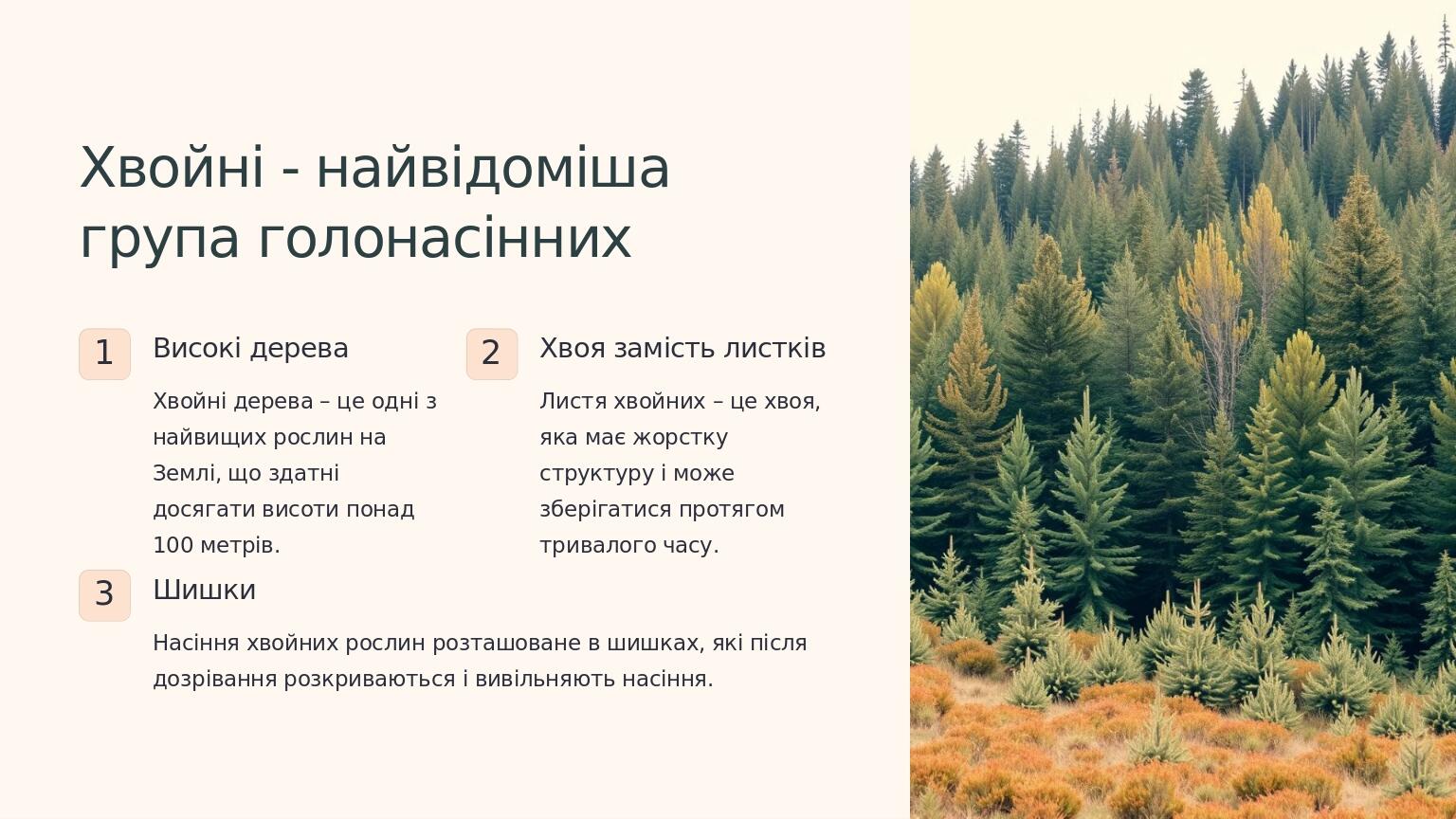Хвойні - найвідоміша група голонасінних 1 Високі дерева Хвойні дерева – це одні з найвищих рослин на Землі, що здатні досягати висоти понад 100 мет...