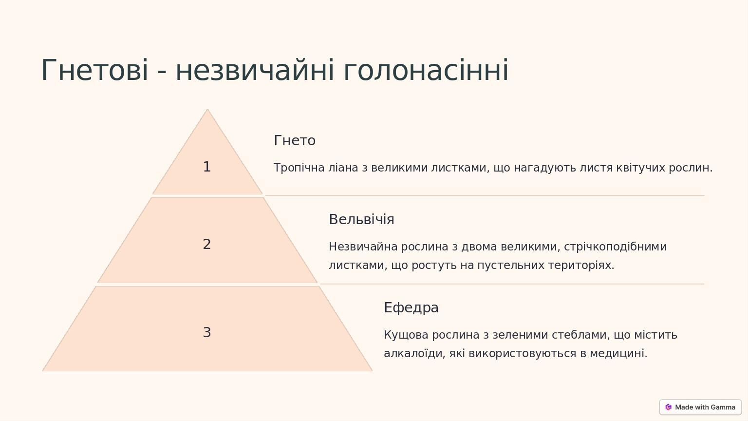 Гнетові - незвичайні голонасінні 1 Гнето Тропічна ліана з великими листками, що нагадують листя квітучих рослин. 2 Вельвічія Незвичайна рослина з д...
