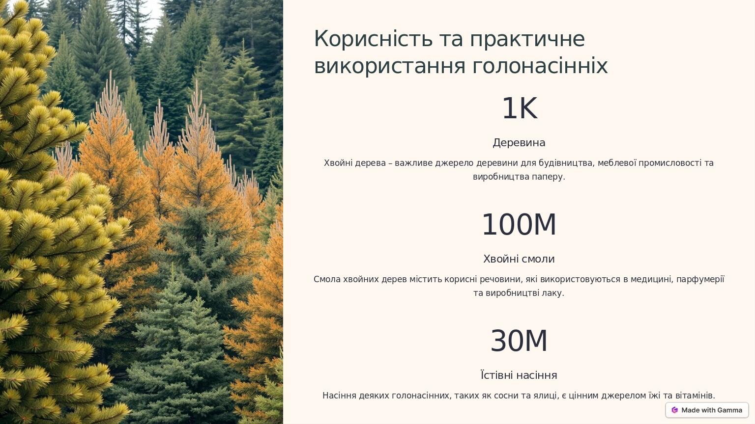Корисність та практичне використання голонасінніх 1K Деревина Хвойні дерева – важливе джерело деревини для будівництва, меблевої промисловості та в...