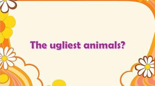 Презентація до підручника English Plus 1 "Reading. The ugliest animal" Unit 3