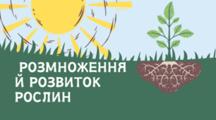 7 клас НУШ.  Розмноження й розвиток рослин