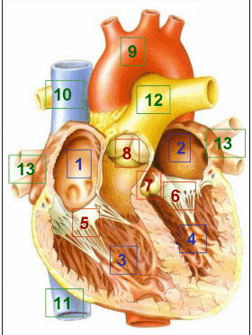 06030dg7-3f70-280x373.png