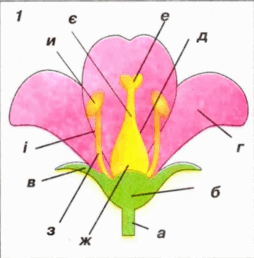 06030e1o-8804-254x258.png
