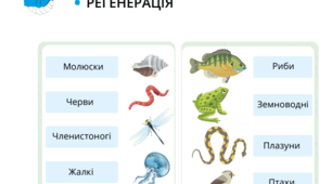 Мозаїка завдань до теми " Класифікація тварин"