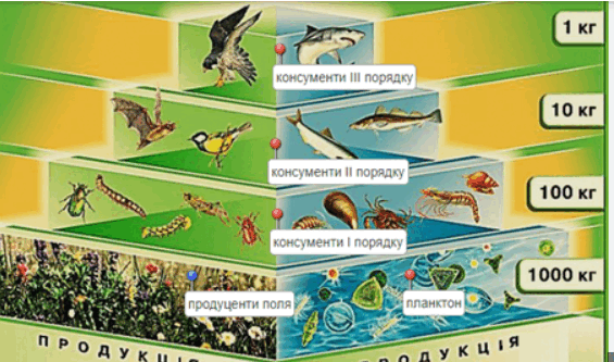 06030ugq-0c8c-565x333.png