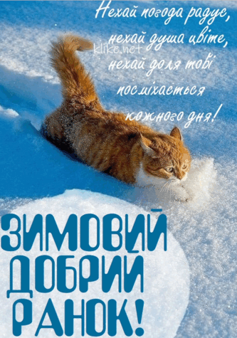 06030xih-a154-333x475.png