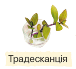 06030xup-6b68-254x230.png
