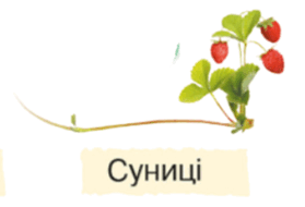 06030xv9-309a-279x190.png