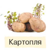 06030xvf-b0f1-217x208.png
