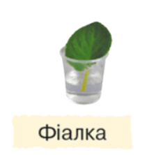 06030xvp-9683-211x222.png