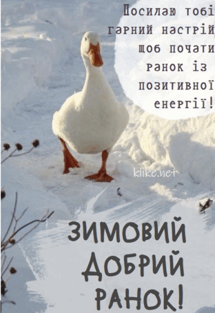 06030ycb-0192-312x454.png