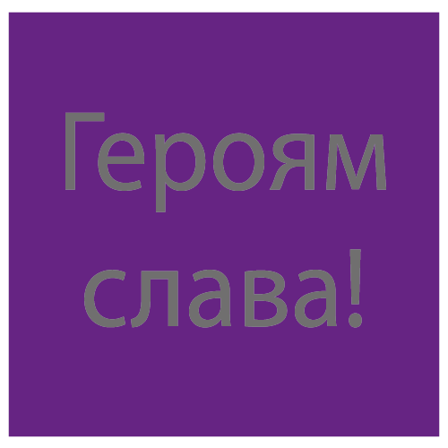 06030ysj-46dc-500x500.png
