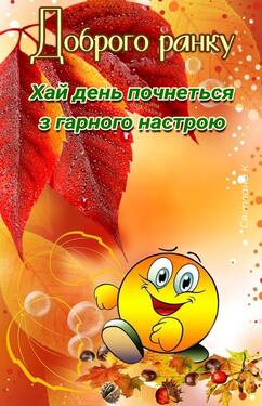 06031004-81f8-242x375.jpg