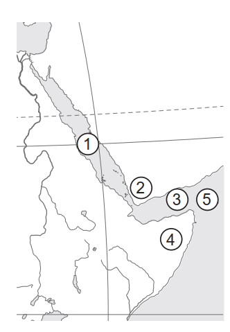 060310vg-8666-332x479.png