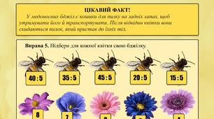 Таблиця множення на 5 | Таблиця ділення на 5 | Робочі листи | Зошит