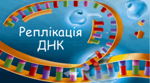 9 Практична робота № 2 Розв'язання елементарних вправ з реплікації.
