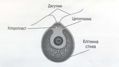 06031c0u-4728-390x219.jpg