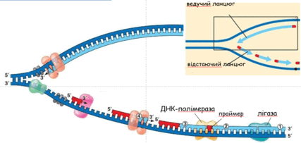 06031dw6-e551-427x203.png