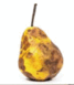 06031eo2-61be-67x77.png
