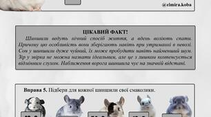 Таблиця множення | Таблиця ділення | Зошит