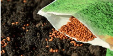 06031ewb-08da-370x186.png
