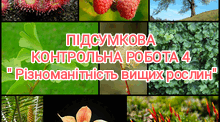 Підсумкова контрольна робота №4 ( ГР1, ГР2, ГР3)  "Різноманітність вищих рослин"