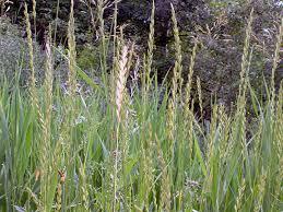 06031h5q-4474-259x194.jpg