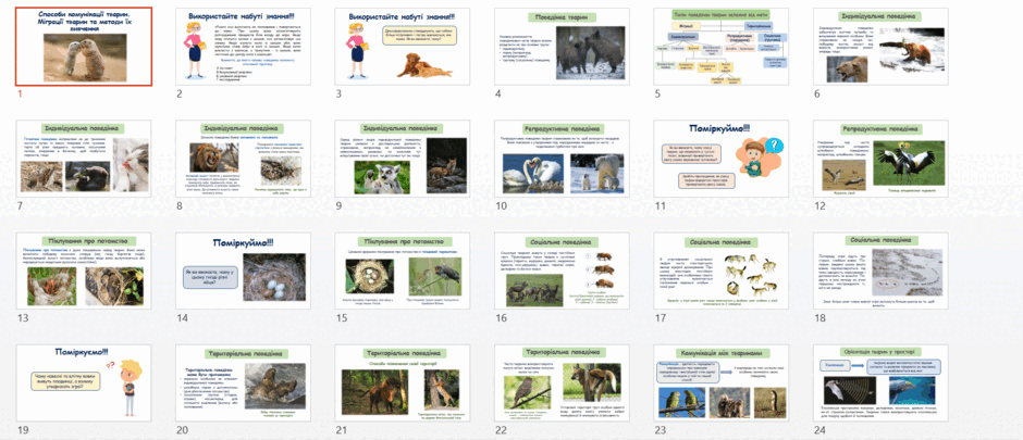 06031iro-4689-940x405.png