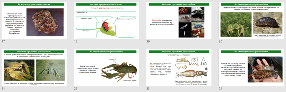 06031j6v-f040-940x302.png