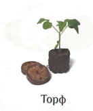 06031jza-ab5a-137x162.png